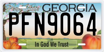 GA license plate PFN9064