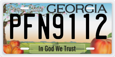 GA license plate PFN9112