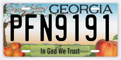 GA license plate PFN9191