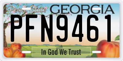 GA license plate PFN9461