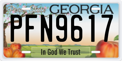 GA license plate PFN9617