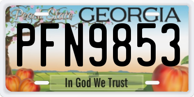 GA license plate PFN9853