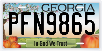 GA license plate PFN9865