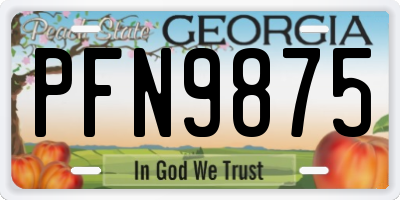 GA license plate PFN9875