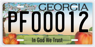 GA license plate PFO0012