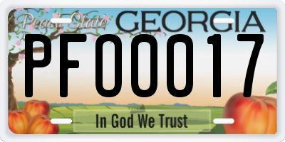 GA license plate PFO0017