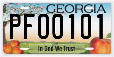 GA license plate PFO0101