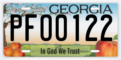 GA license plate PFO0122