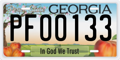 GA license plate PFO0133