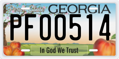GA license plate PFO0514