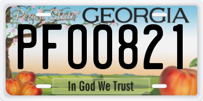 GA license plate PFO0821