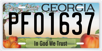 GA license plate PFO1637