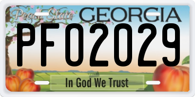 GA license plate PFO2029