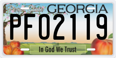 GA license plate PFO2119