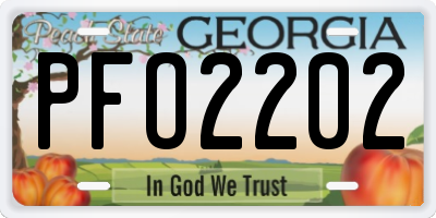 GA license plate PFO2202