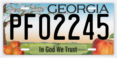 GA license plate PFO2245