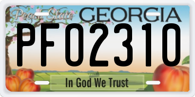 GA license plate PFO2310