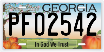 GA license plate PFO2542