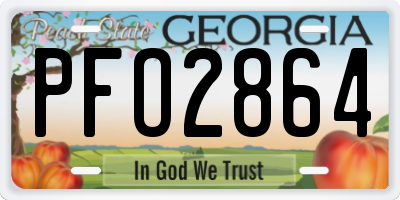 GA license plate PFO2864