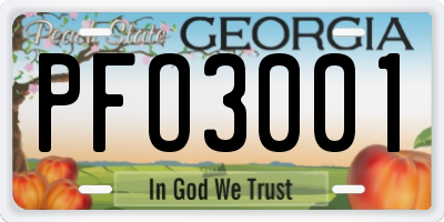GA license plate PFO3001