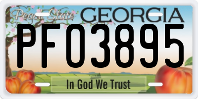 GA license plate PFO3895