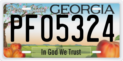 GA license plate PFO5324