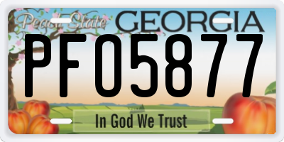 GA license plate PFO5877