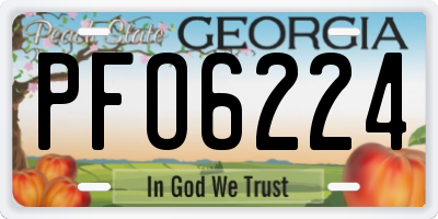 GA license plate PFO6224