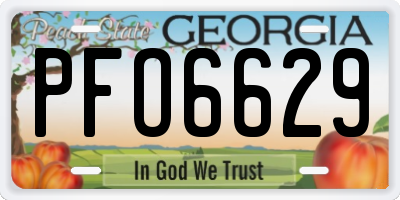 GA license plate PFO6629