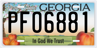 GA license plate PFO6881