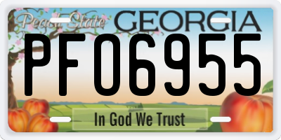 GA license plate PFO6955
