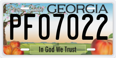 GA license plate PFO7022
