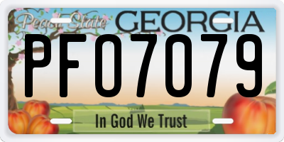 GA license plate PFO7079