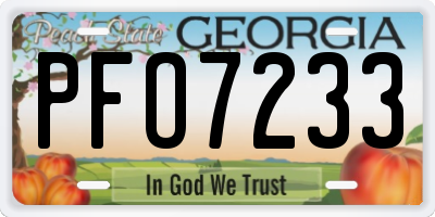 GA license plate PFO7233