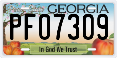 GA license plate PFO7309