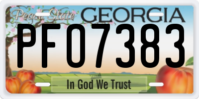 GA license plate PFO7383