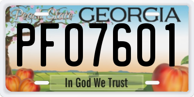 GA license plate PFO7601