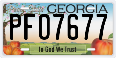 GA license plate PFO7677