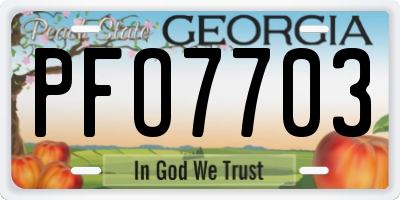 GA license plate PFO7703
