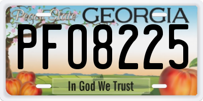 GA license plate PFO8225