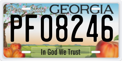 GA license plate PFO8246