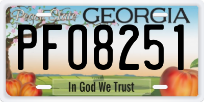 GA license plate PFO8251