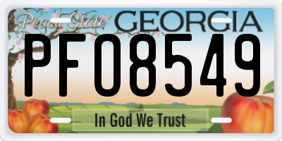 GA license plate PFO8549