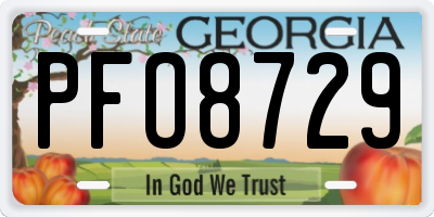 GA license plate PFO8729