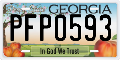 GA license plate PFP0593