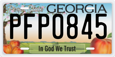 GA license plate PFP0845