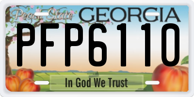 GA license plate PFP6110