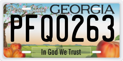 GA license plate PFQ0263