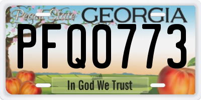 GA license plate PFQ0773