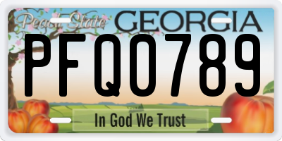 GA license plate PFQ0789